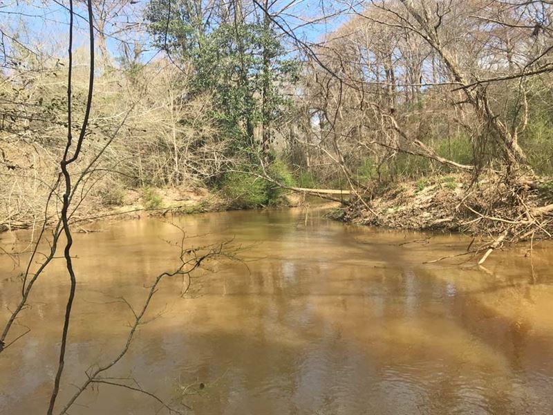 Pigeon Creek Tract : Greenville : Butler County : Alabama