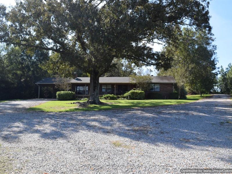 Beautiful Family Farm : Lena : Leake County : Mississippi