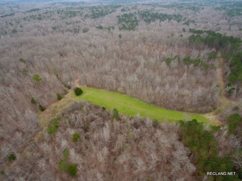 246 Ac, Hunting & Recreational : Black Hawk : Carroll County : Mississippi