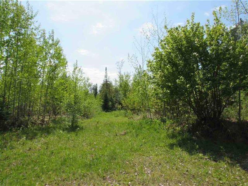 40 Acres On The Skanee : L'anse : Baraga County : Michigan