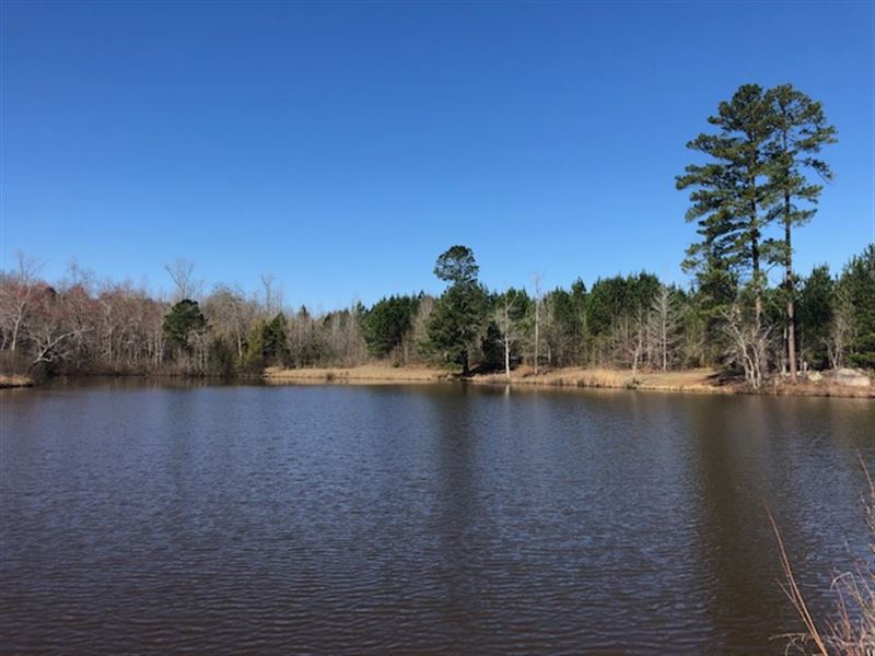Pond Cabin Big Timber : Sparta : Hancock County : Georgia