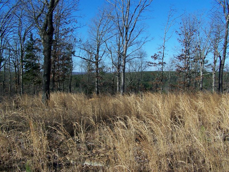 10 Acres for Sale in Arkansas Ozark : Leslie : Searcy County : Arkansas