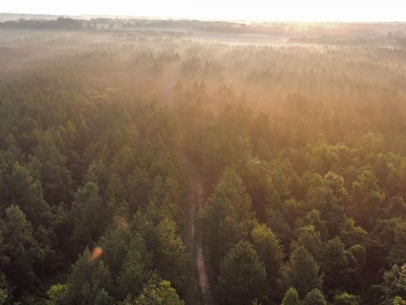River Wood Lodge : Livingston : Sumter County : Alabama