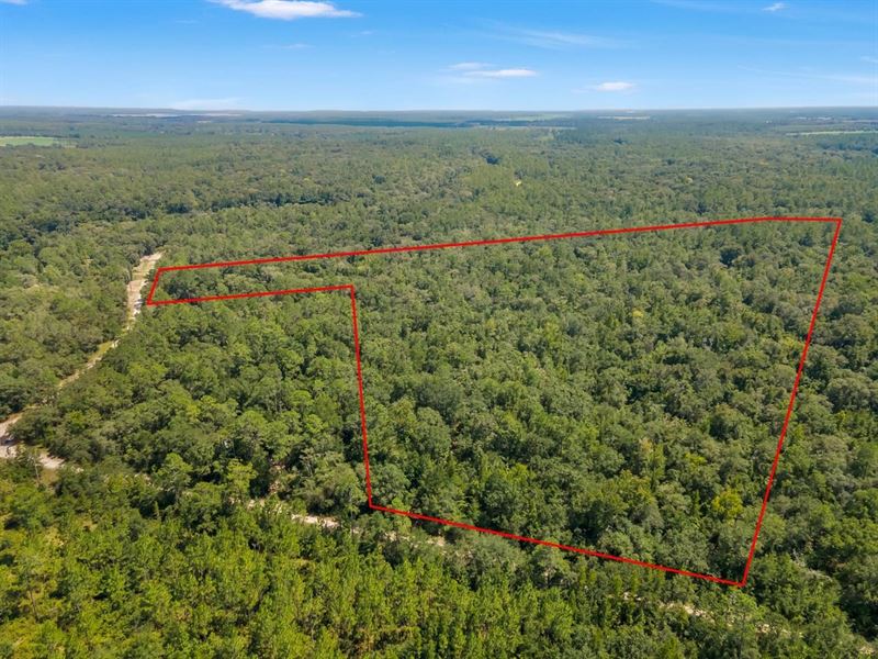 Vacant NE Chervil Dr, Lee, FL 3234 : Lee : Madison County : Florida