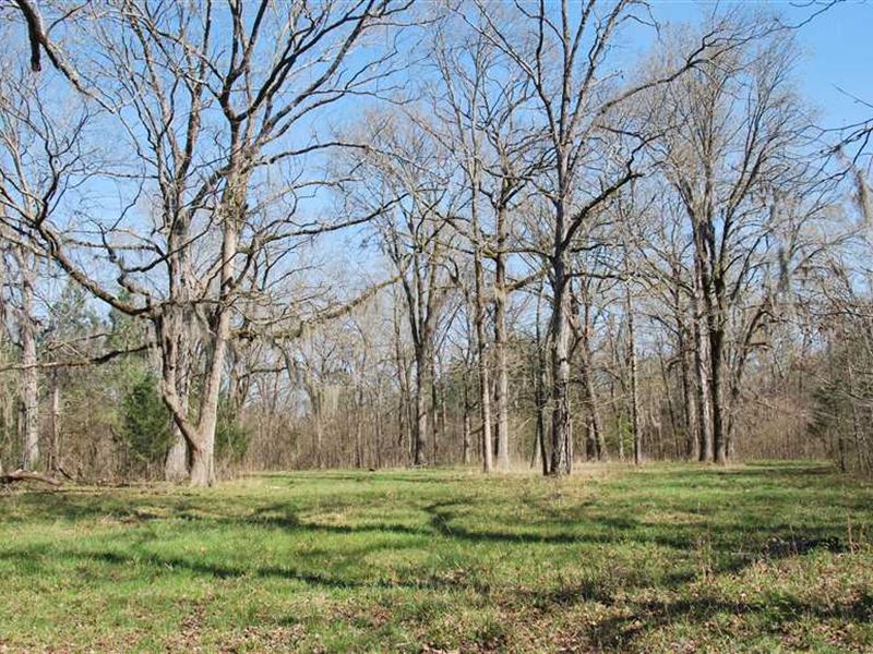 Outstanding Hunting or Residential : Hope Hull : Montgomery County : Alabama