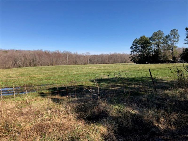 99+ Acres of Pasture and Woodland : Dewitt : Dinwiddie County : Virginia