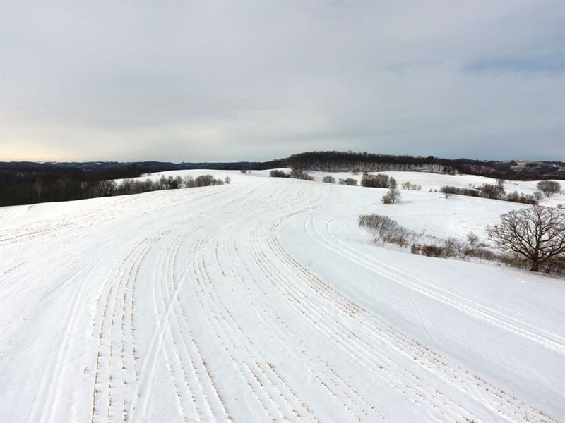 Ag Land with Some Woods : Prairie Du Chien : Crawford County : Wisconsin