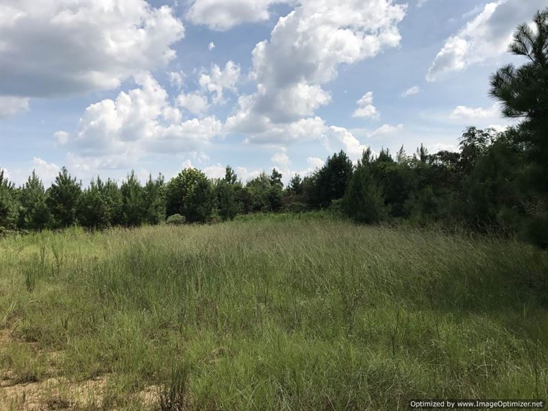A True Hunting Refuge : Meadville : Franklin County : Mississippi