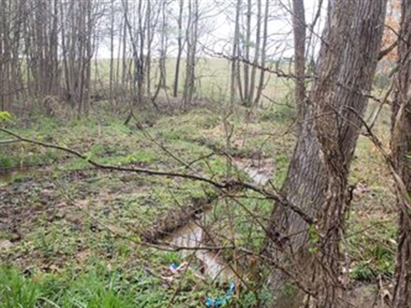 Baccer Hills Lot 1 : Gretna : Pittsylvania County : Virginia