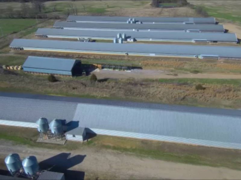 Poultry Farms for Sale in Arkansas, Ranch for Sale in Arkansas, 191425