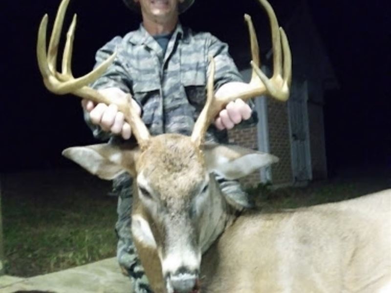 160 Acres Of Tremendous Hunting : Preston : Webster County : Georgia