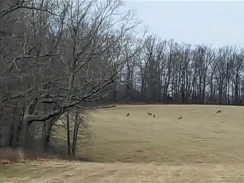 277 Great Hunting Acreage, Van : Clinton : Van Buren County : Arkansas