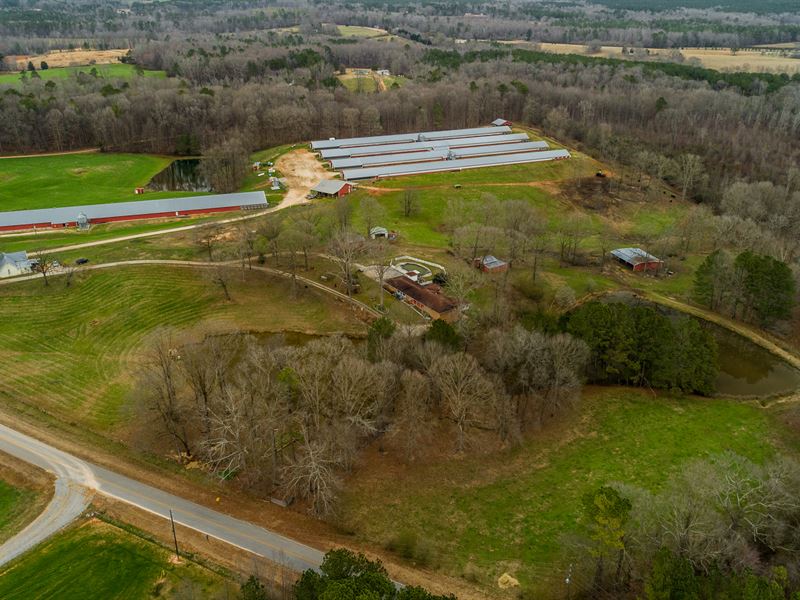 5 House Broiler Poultry Farm, Home : Franklin : Heard County : Georgia