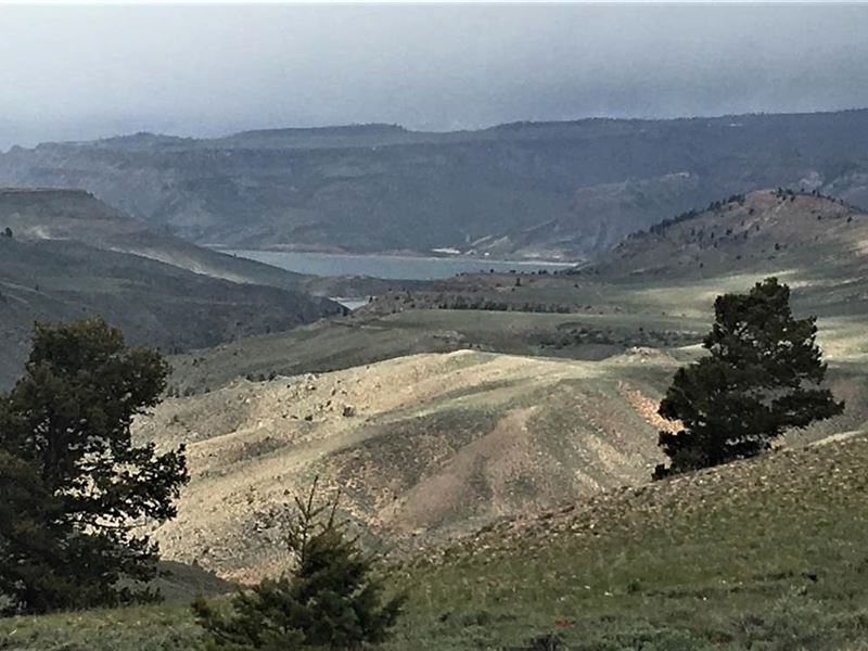 Mountain Property : Gunnison : Gunnison County : Colorado