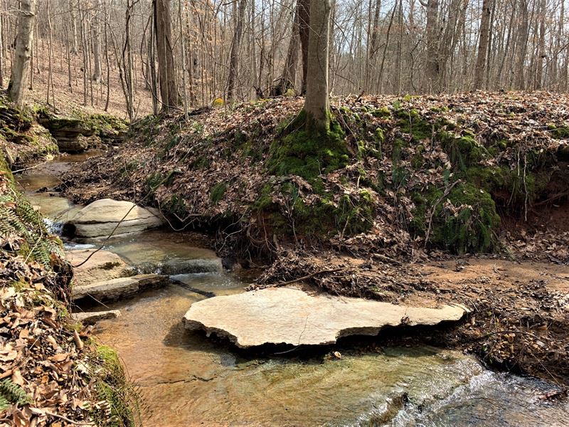 267 Acres M/L Of Paradise : Bath Springs : Decatur County : Tennessee