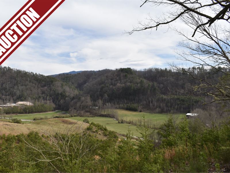 Auction, Lot 18 On Jones Cove Rd : Cosby : Sevier County : Tennessee