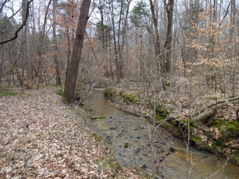 66.40 Acres, Recreational : Laurens : Laurens County : South Carolina