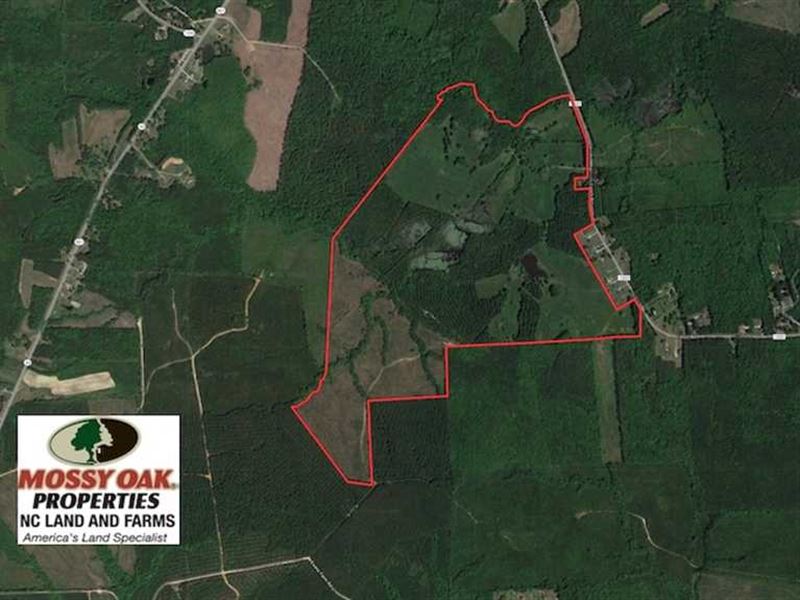 Under Contract, 270.86 Acres of : Hollister : Halifax County : North Carolina