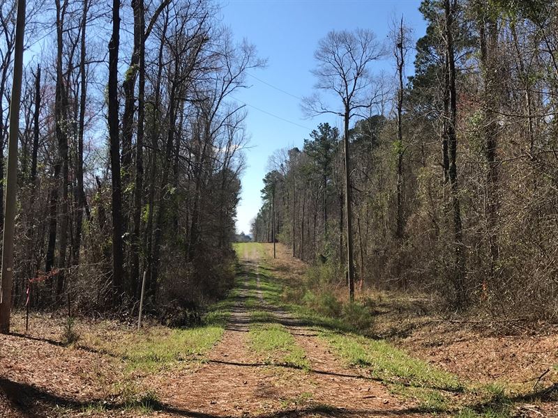 Land, Craig Springs Rd, Sturgis, MS : Sturgis : Oktibbeha County : Mississippi