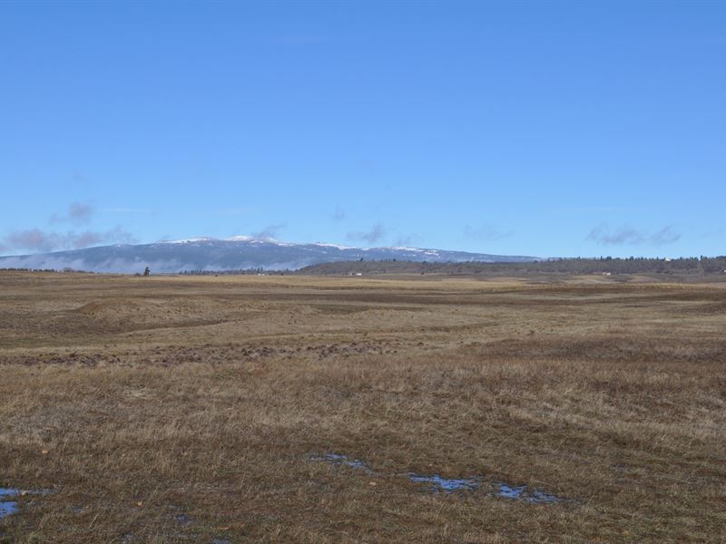 Land Goldendale Washington, White : Goldendale : Klickitat County : Washington