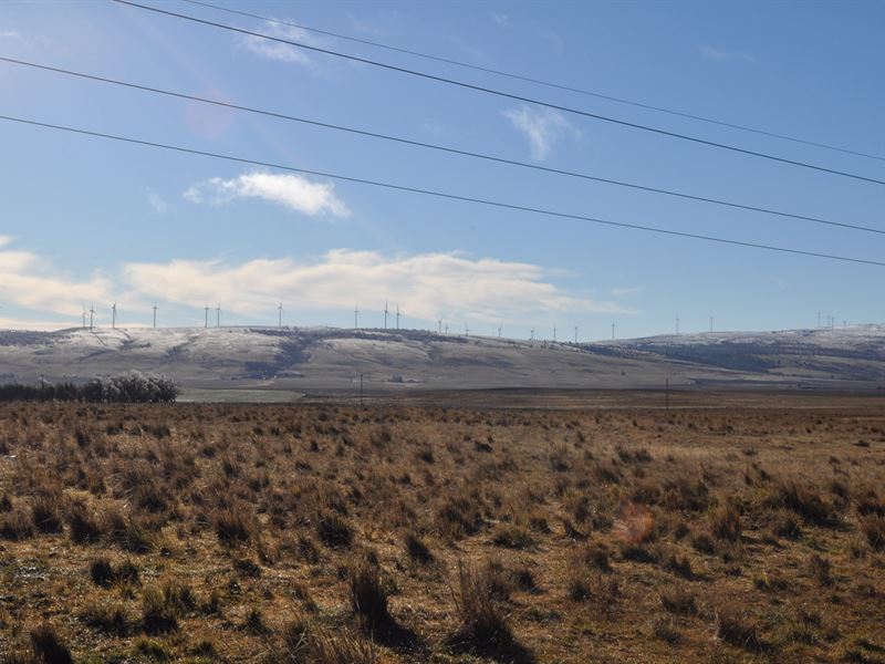 Land Goldendale Washington : Goldendale : Klickitat County : Washington