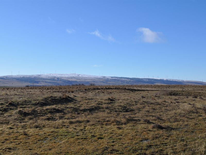Land Goldendale Washington : Goldendale : Klickitat County : Washington