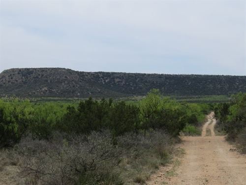 53.56 Ac With Water : Robert Lee : Coke County : Texas