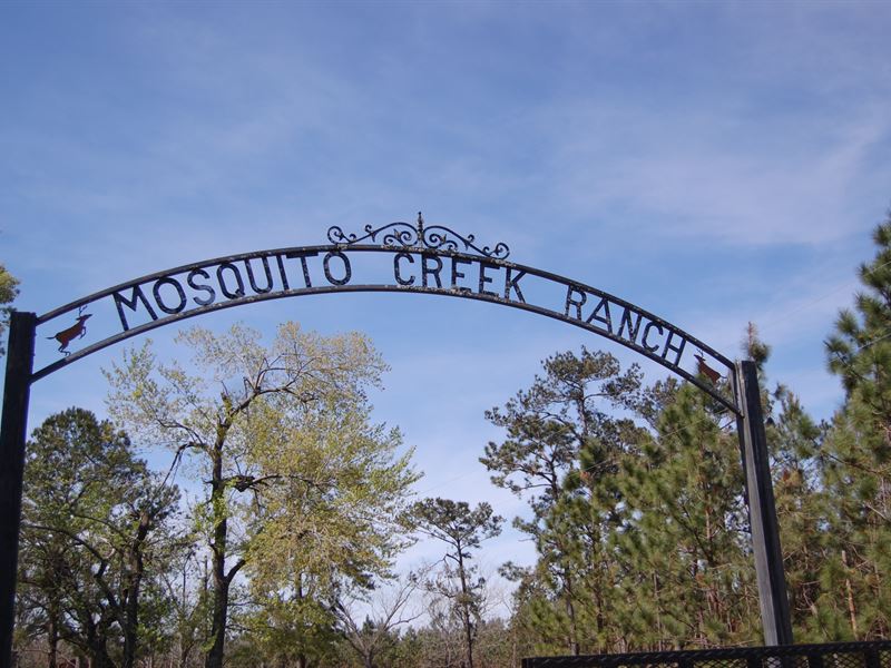 Mosquito Creek Ranch : Chattahoochee : Gadsden County : Florida