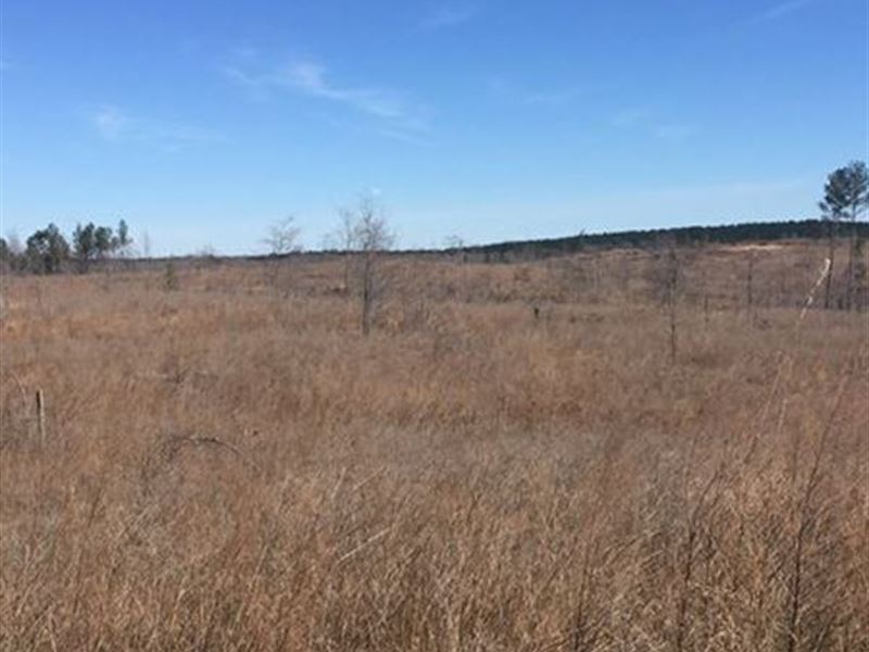 Attala County Hunting Property : West : Attala County : Mississippi