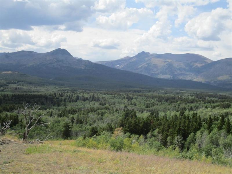 East Glacier Park Acreage, Ranch for Sale in Montana, 191959 RANCHFLIP