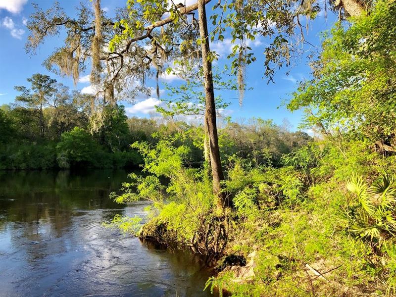 Suwannee River Waterfront Property, Ranch for Sale in Florida, 192090