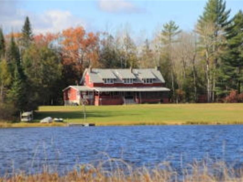 Northern Michigan Hunting Property : South Branch : Iosco County : Michigan