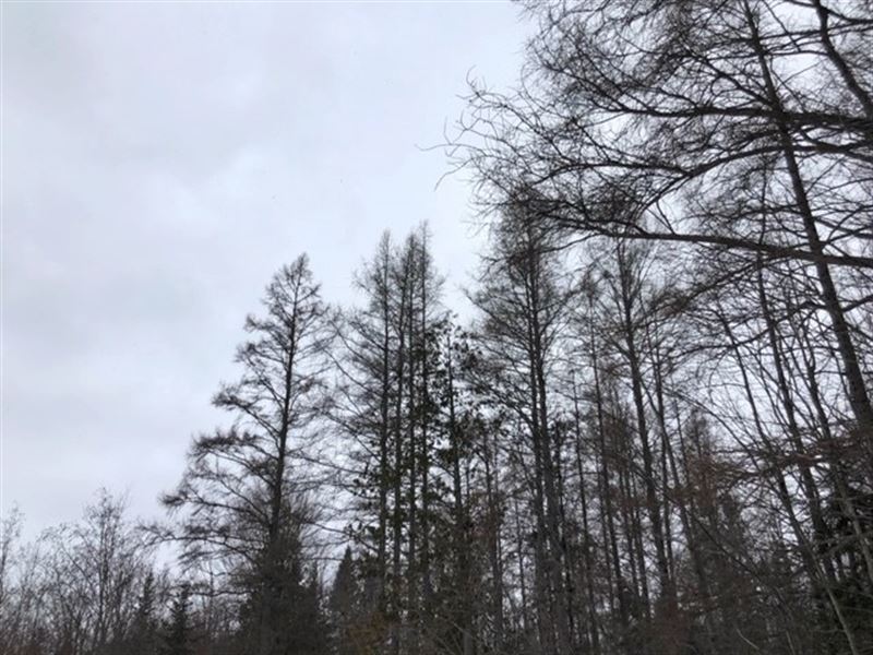 120 Ac Mangum Rd : Marquette : Marquette County : Michigan