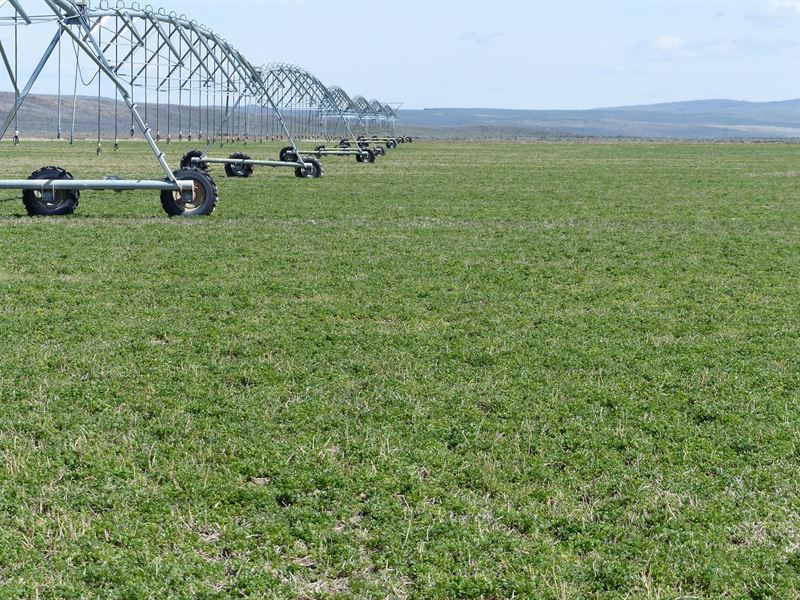 720 Acre Hay Farm, East Burns Or : Burns : Harney County : Oregon