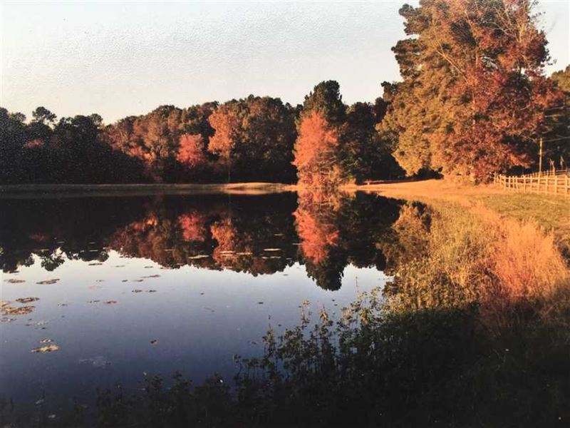 Parker's Pond A Beautiful Oasis : Mabelvale : Saline County : Arkansas