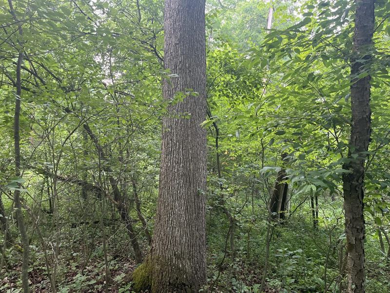 Dunmire Road Punxsutawney : Punxsutawney : Indiana County : Pennsylvania