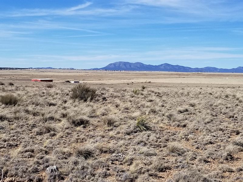 NM Residential Development : Moriarty : Torrance County : New Mexico