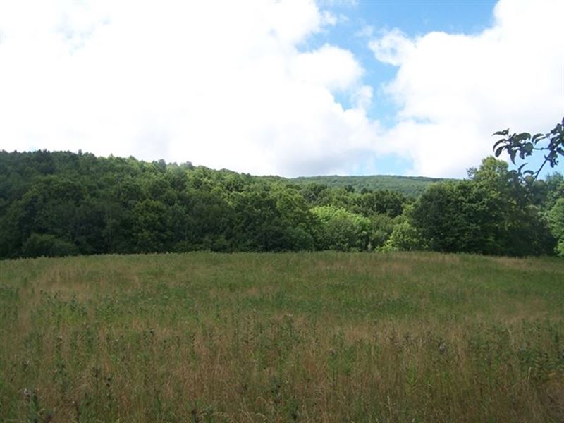Secluded Tracts Land Blue Ridge : Troutdale : Grayson County : Virginia