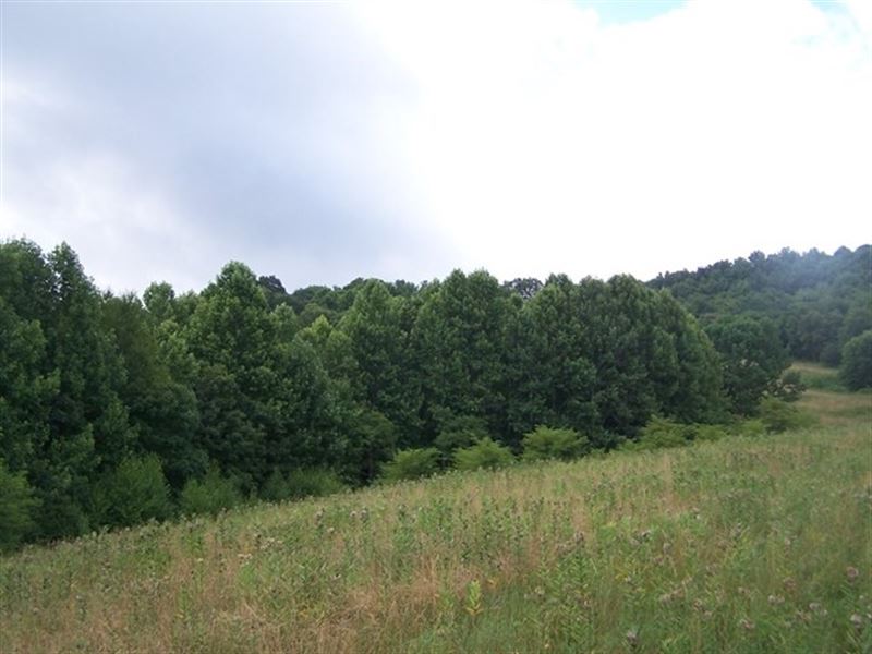 Secluded Acreage Blue Ridge : Troutdale : Grayson County : Virginia