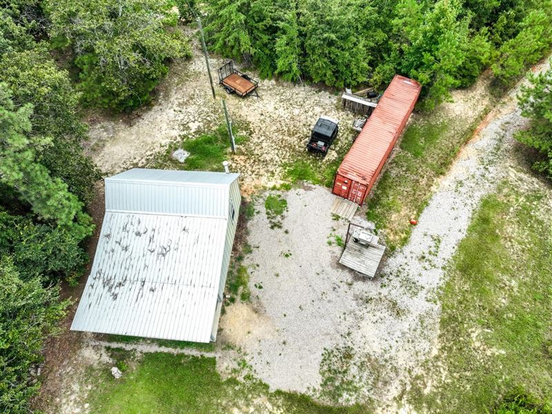 50 Acre Gorgeous Hunting Tract : Clayton : Barbour County : Alabama