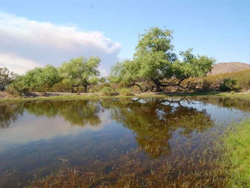 Willow Springs Ranch Lot 42A : San Antonio : Socorro County : New Mexico