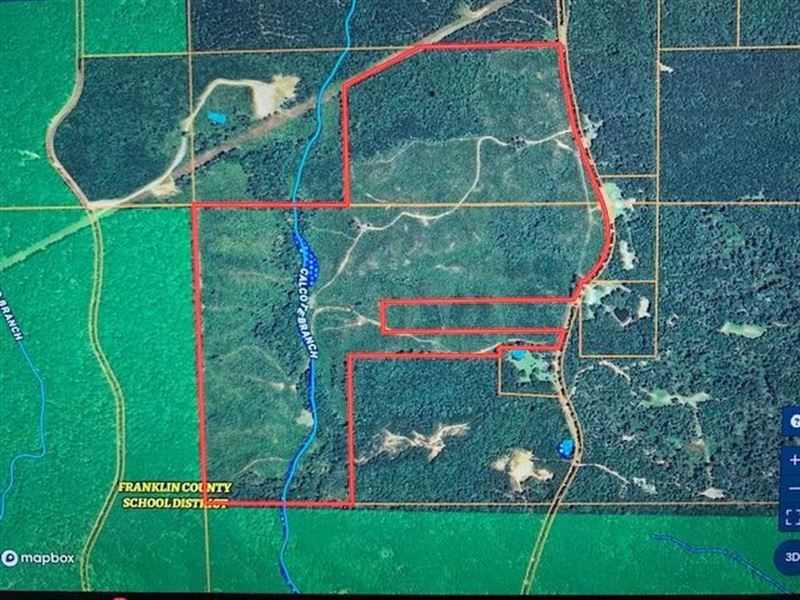 Hunting Land Franklin County McCall : McCall Creek : Franklin County : Mississippi