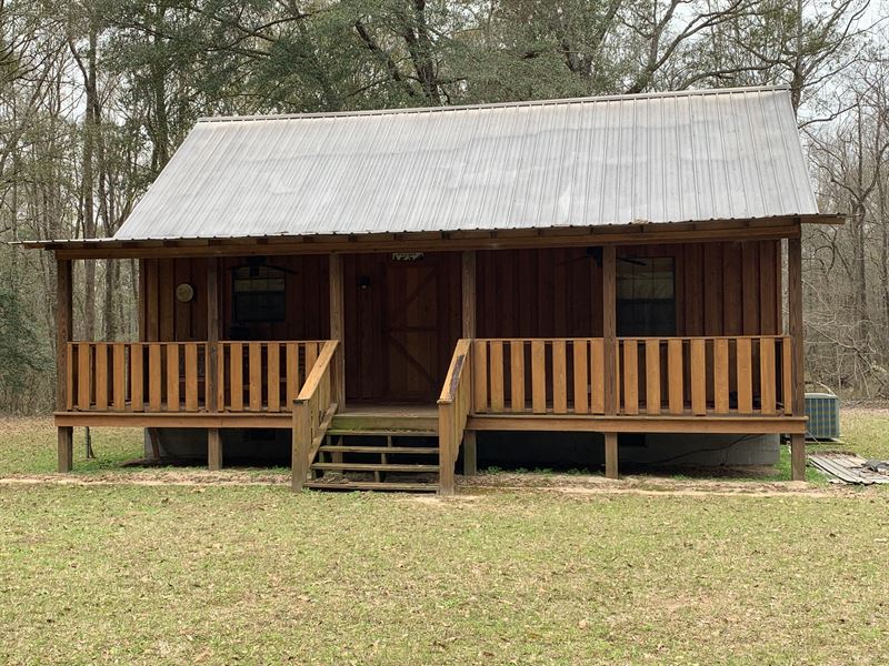 Prime Hunting On Creek with Cabin : Americus : Sumter County : Georgia