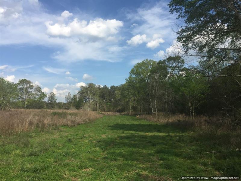 Hardwoods, Creeks, House Sites : Ruth : Lawrence County : Mississippi