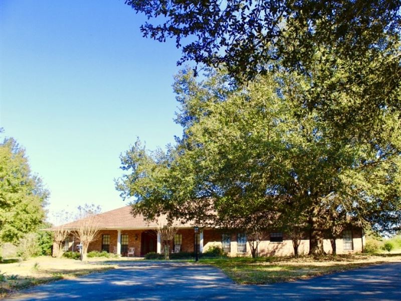 47 Beautiful Rolling Acres and Cust : Jayess : Lawrence County : Mississippi
