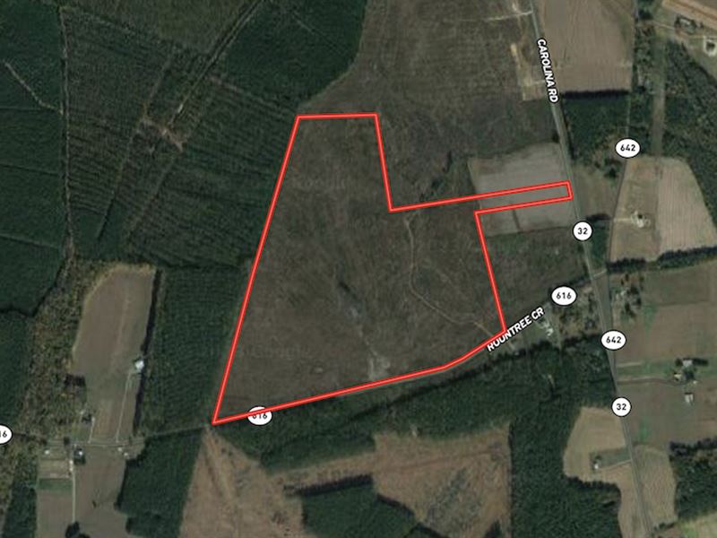 115 Acres with Home Site and Timber : Suffolk : Suffolk County : Virginia