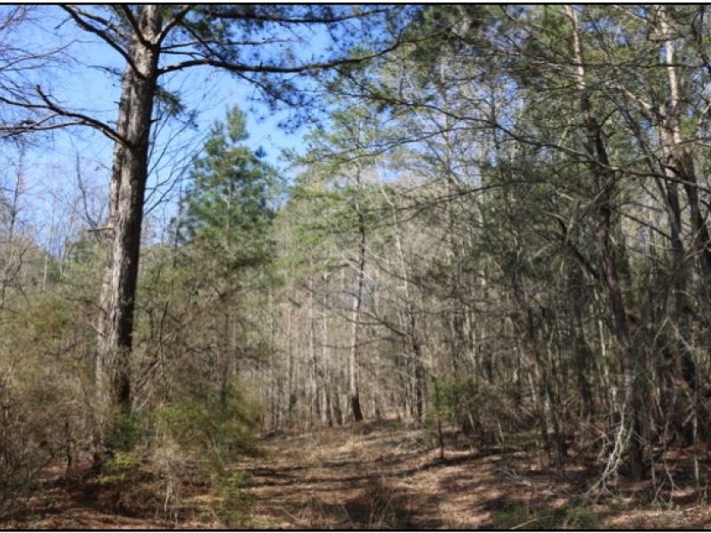 28.5 Acres in Neshoba County in Phi : Philadelphia : Neshoba County : Mississippi