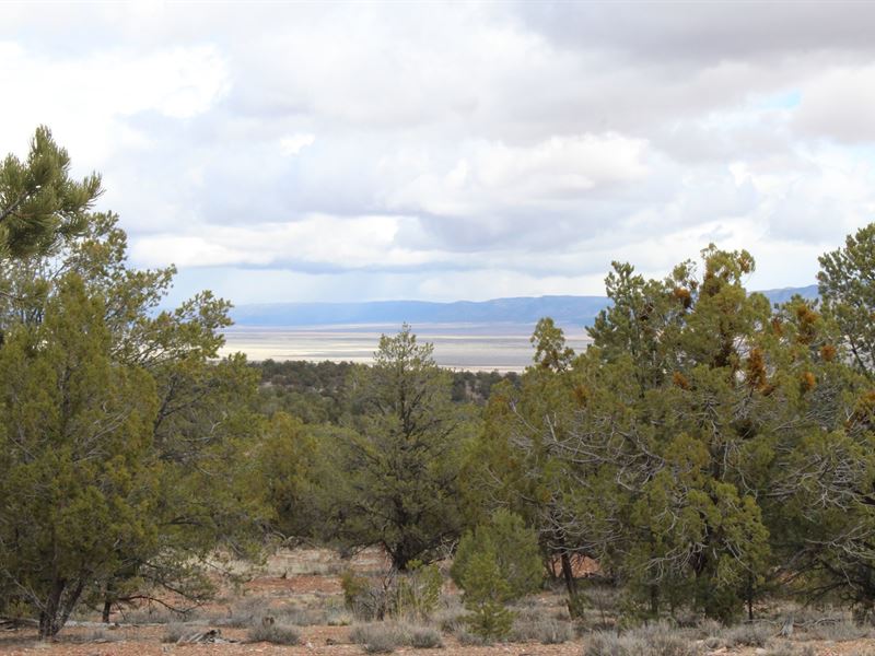 Rural Off Grid Land Northern AZ : Seligman : Yavapai County : Arizona