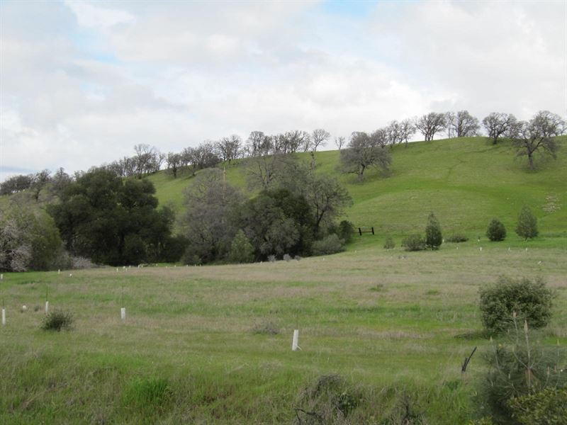 Northern California Country Acreage : Winters : Yolo County : California