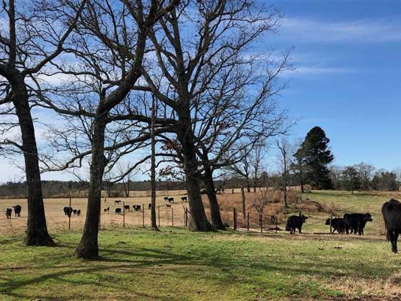 Shiloh Farms of Union Parish, 355 : Bernice : Union Parish : Louisiana